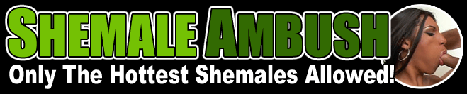SHEMALE AMBUSH